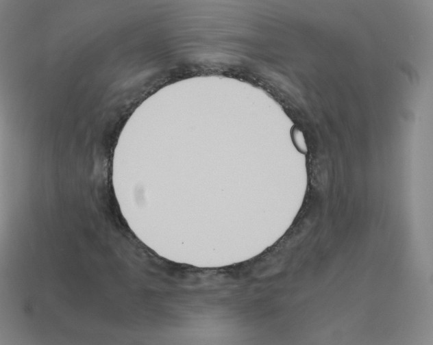 X0000113111061200910091155