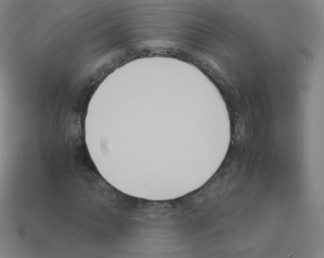 X0000113111062200910091155
