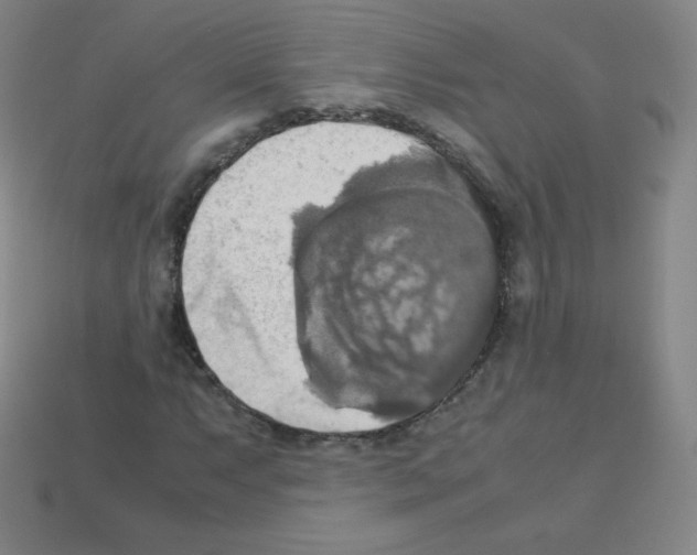 X0000113111063200910091155