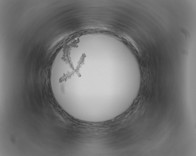 X0000113111064200910091155