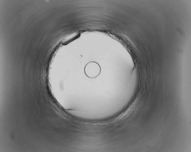 X0000113111065200910091155