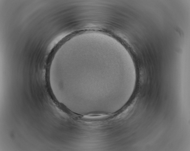 X0000113111066200910091155
