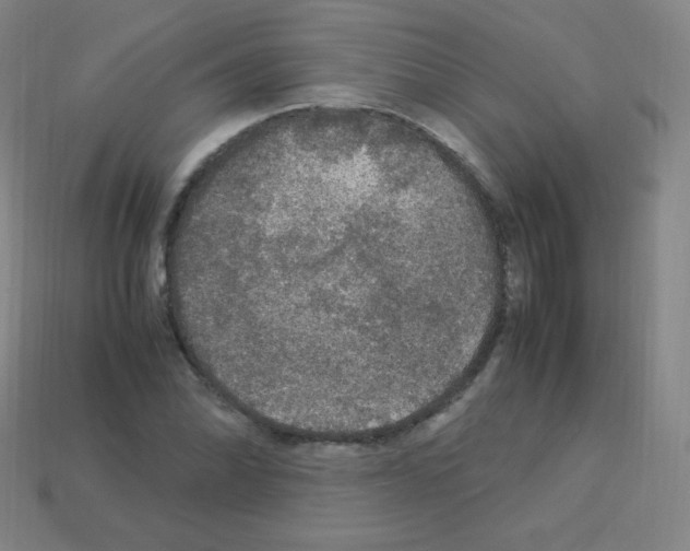 X0000113111070200910091155