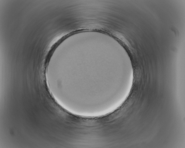 X0000113111071200910091155