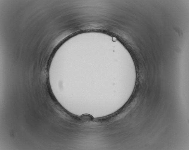 X0000113111073200910091155