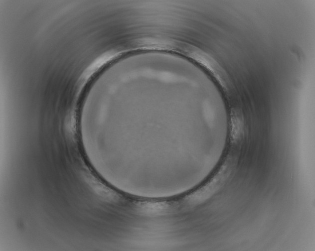 X0000113111074200910091155