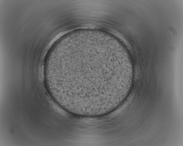 X0000113111075200910091155