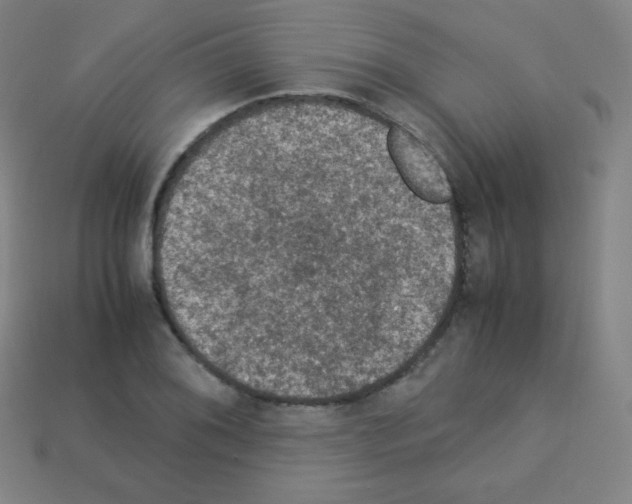 X0000113111076200910091155