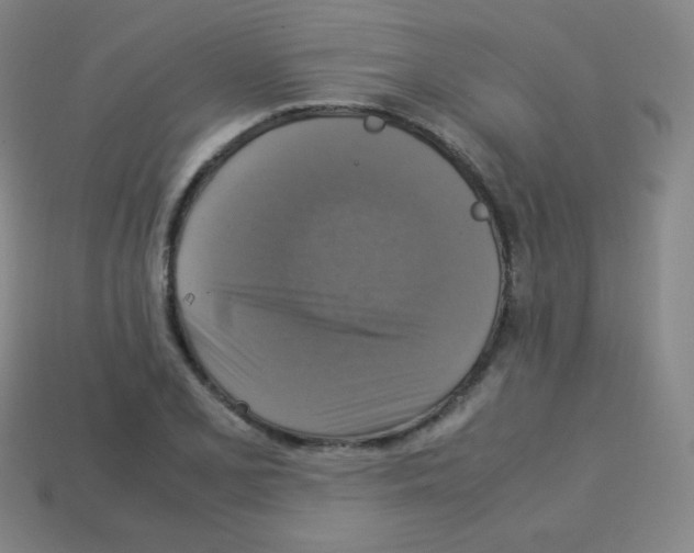 X0000113111077200910091155