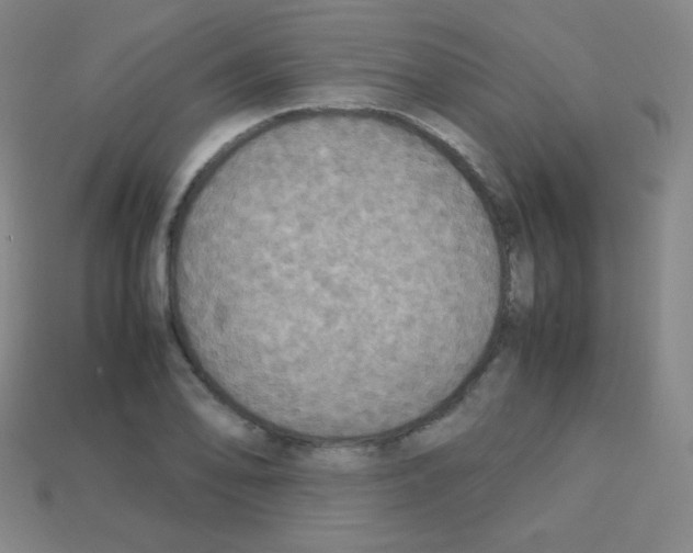 X0000113111078200910091155