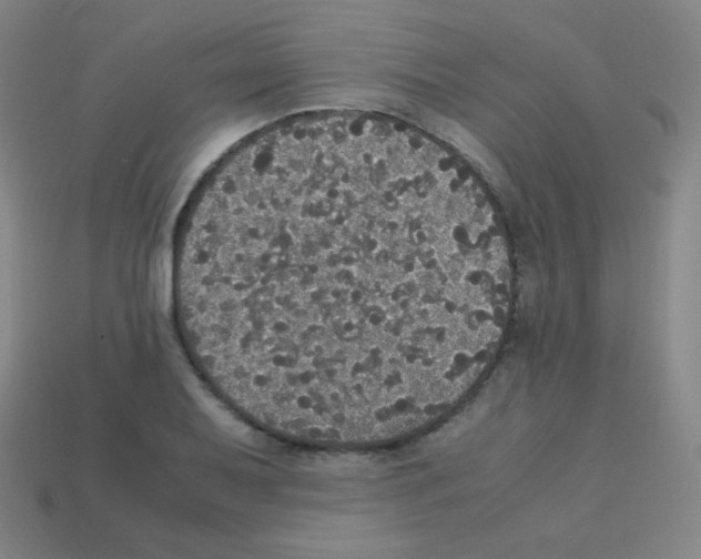 X0000113111079200910091155