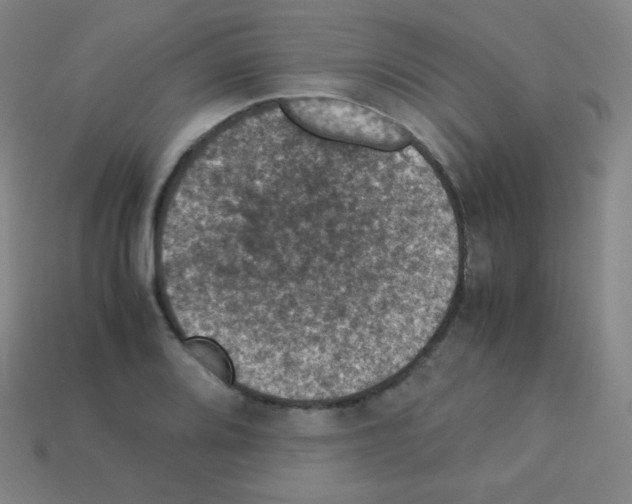 X0000113111080200910091155