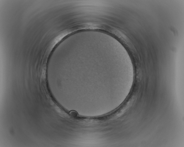 X0000113111081200910091155