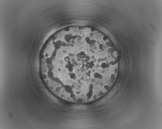 X0000113111083200910091155
