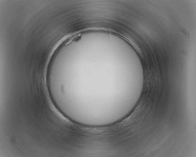 X0000113111084200910091155