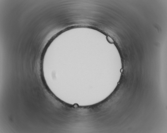 X0000113111085200910091155