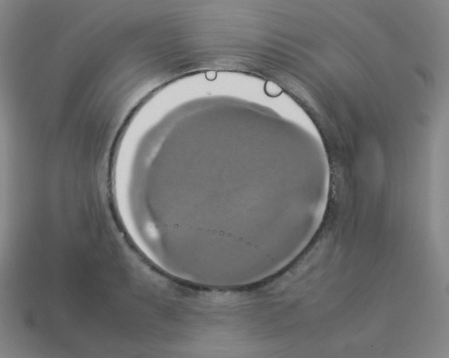 X0000113111087200910091155