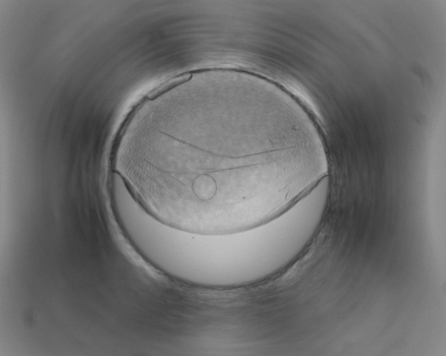 X0000113111088200910091155
