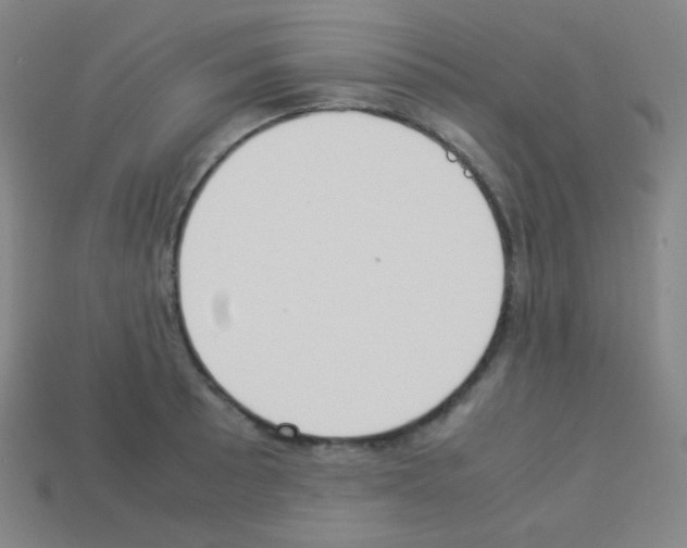 X0000113111089200910091155