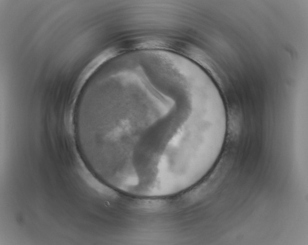 X0000113111090200910091154