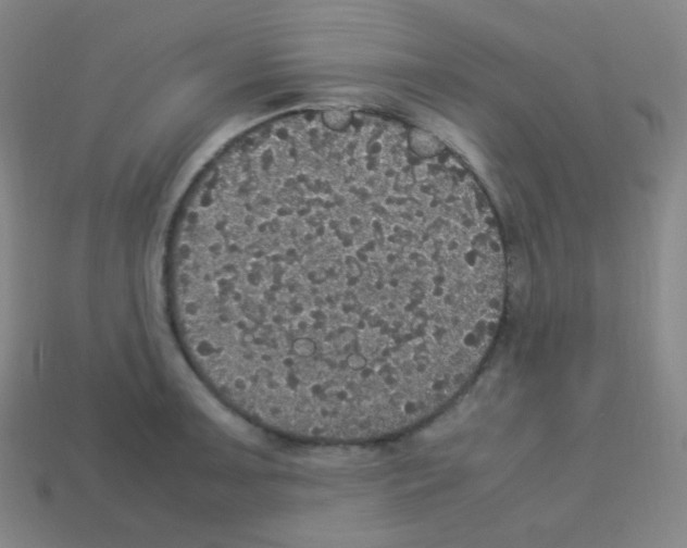 X0000113111091200910091154