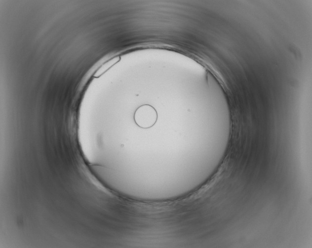 X0000113111092200910091154