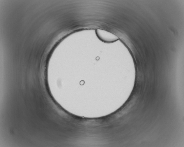 X0000113111093200910091154