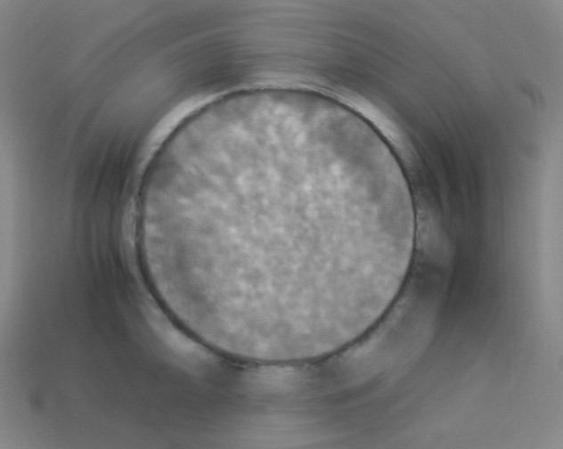 X0000113111094200910091154