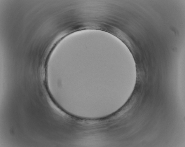 X0000113111095200910091154