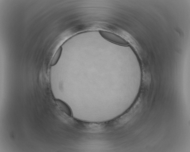 X0000113111097200910091154