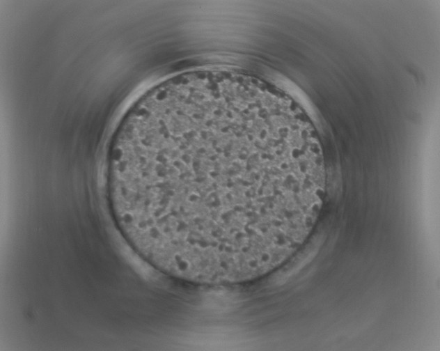 X0000113111099200910091154