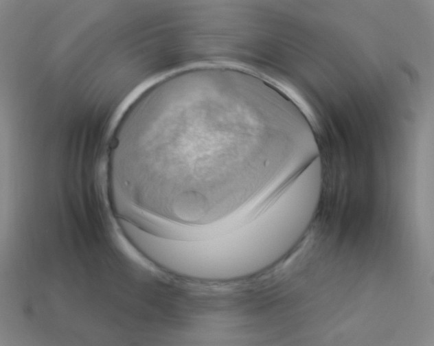 X0000113111100200910091154