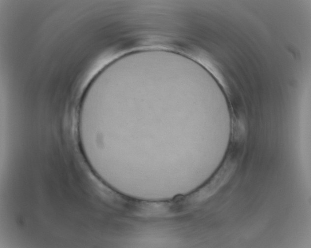 X0000113111101200910091154