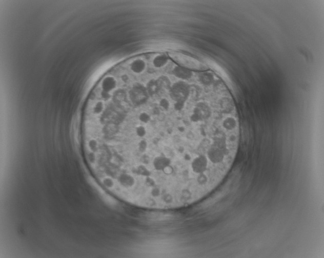 X0000113111103200910091154