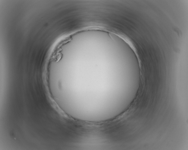 X0000113111104200910091154