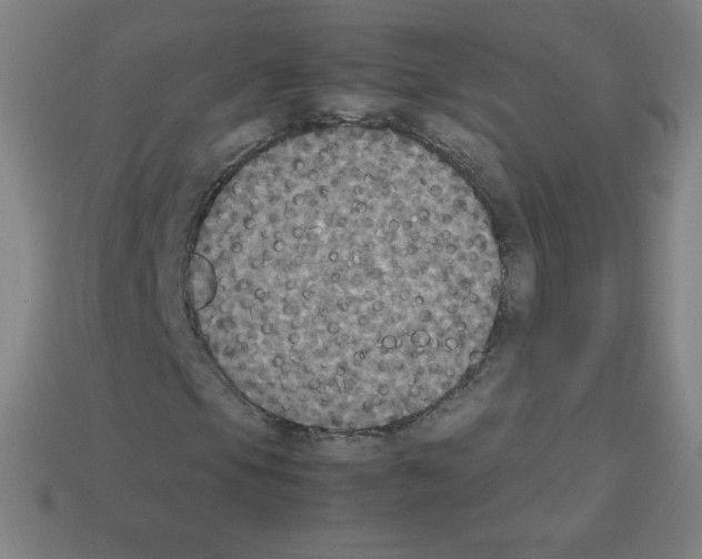 X0000113111105200910091154