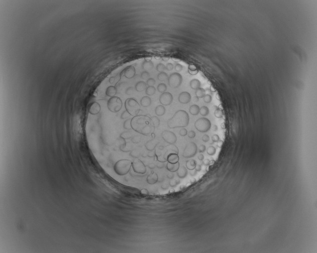 X0000113111106200910091154