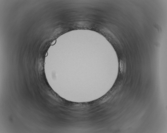 X0000113111107200910091154