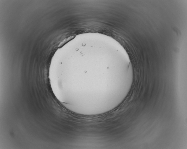 X0000113111108200910091154