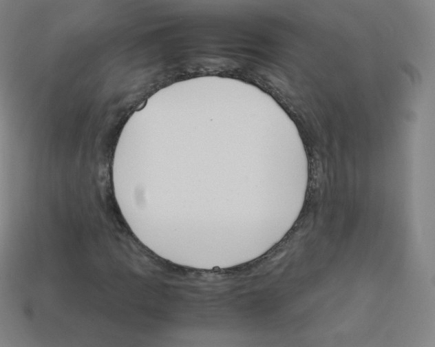 X0000113111109200910091154