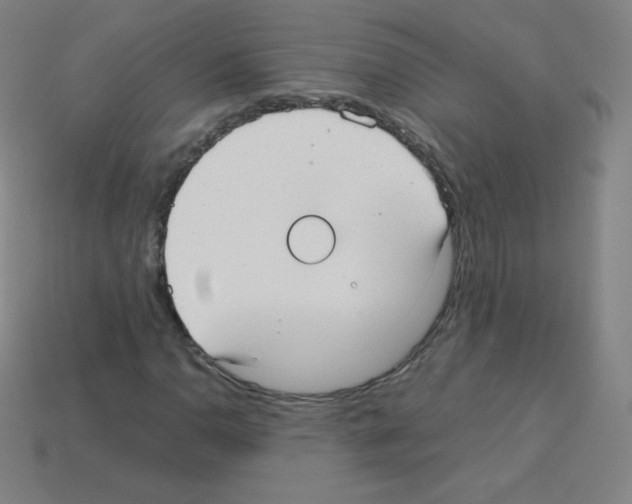 X0000113111110200910091154