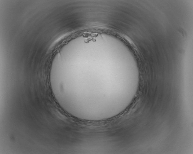 X0000113111112200910091154