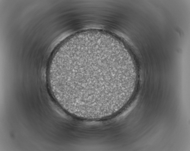 X0000113111113200910091154