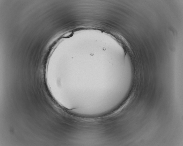 X0000113111114200910091154
