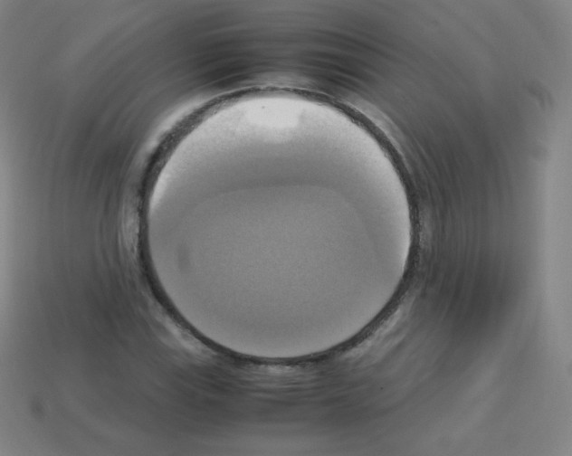 X0000113111115200910091154