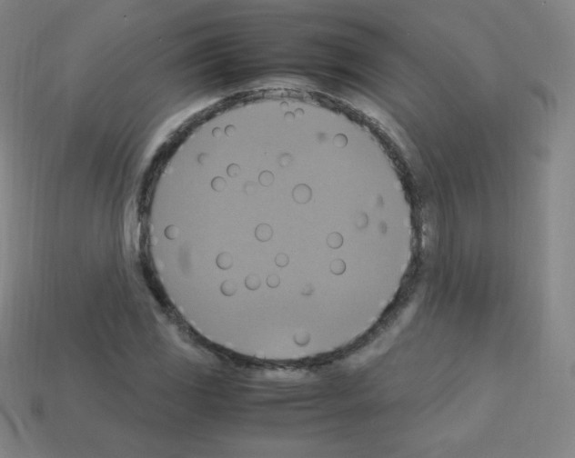 X0000113111117200910091154