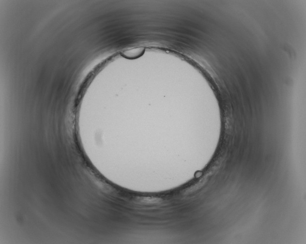 X0000113111119200910091154
