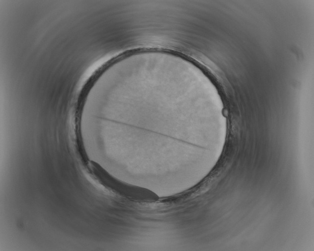 X0000113111120200910091154