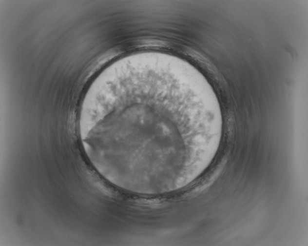 X0000113111121200910091154