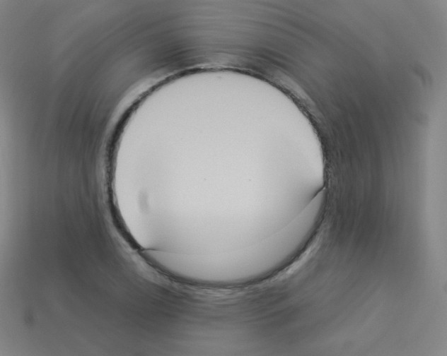 X0000113111122200910091154